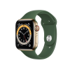 Apple Watch Series 6 | 44mm | Stainless Steel Case Goud | Groen sportbandje | GPS | WiFi + 4G