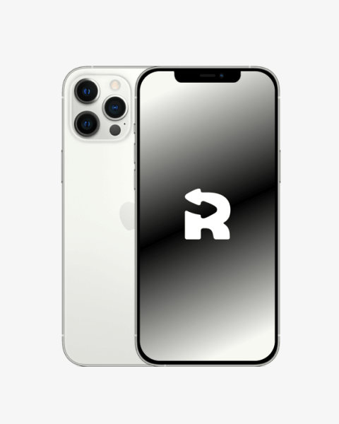 iPhone 12 Pro Max 256GB Zilver